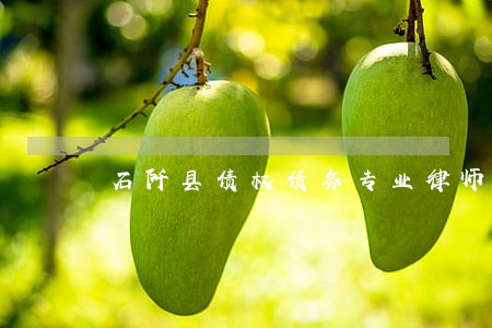 石阡县债权债务专业律师哪家强