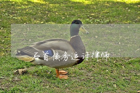石首债务追讨律师 石首债务追讨律师