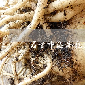石首市经济犯罪律师咨询电话 石首市经济犯罪律师咨询电话