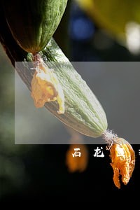 石龙区拆迁安置律师在线免费咨询 石龙区拆迁安置律师在线免费咨询