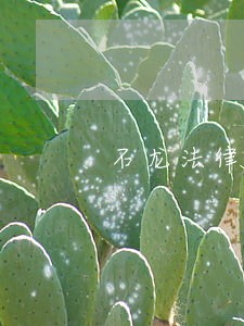 石龙法律援助中心地址