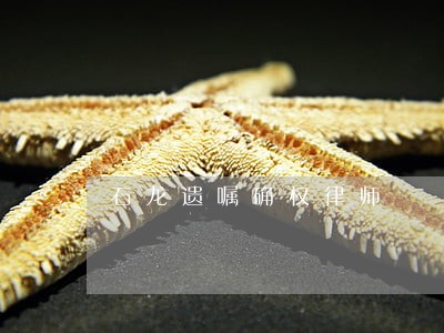 石龙遗嘱确权律师 石龙遗嘱确权律师