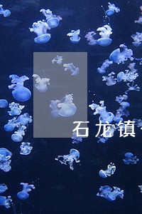 石龙镇个人独资律师在线免费咨询 石龙镇个人独资律师在线免费咨询