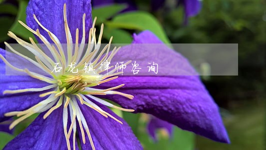 石龙镇律师咨询 石龙镇律师咨询
