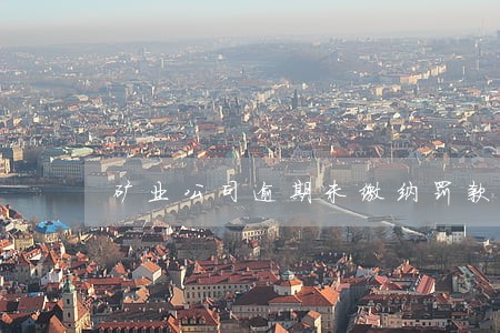 矿业公司逾期未缴纳罚款 矿业公司逾期未缴纳罚款