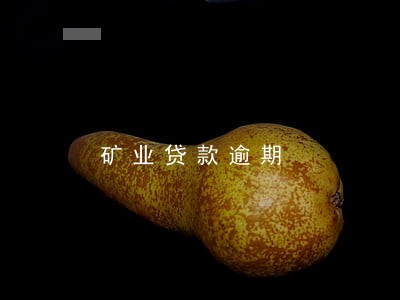矿业贷款逾期 矿业贷款逾期