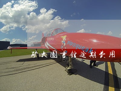 矿大图书馆逾期费用 矿大图书馆逾期费用