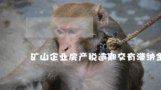 矿山企业房产税逾期交有滞纳金吗 矿山企业房产税逾期交有滞纳金吗