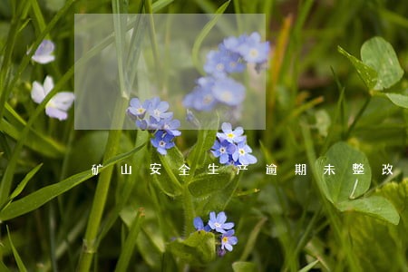 矿山安全生产逾期未整改罚款 矿山安全生产逾期未整改罚款