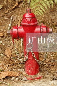 矿山恢复治理逾期未完成治理 矿山恢复治理逾期未完成治理