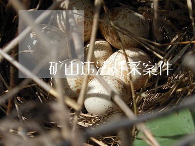 矿山违法开采案件 矿山违法开采案件