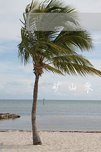 矿山采矿证逾期复效办理程序 矿山采矿证逾期复效办理程序