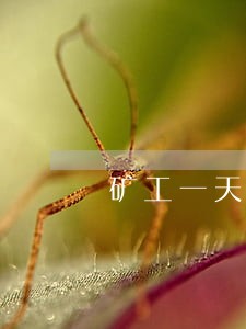 矿工一天扣三天的工资违法吗 矿工一天扣三天的工资违法吗