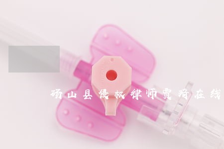 砀山县侵权律师贾琦在线免费咨询 砀山县侵权律师贾琦在线免费咨询