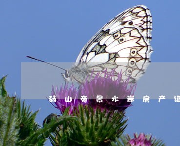 砀山帝景水岸房产证逾期办理 砀山帝景水岸房产证逾期办理