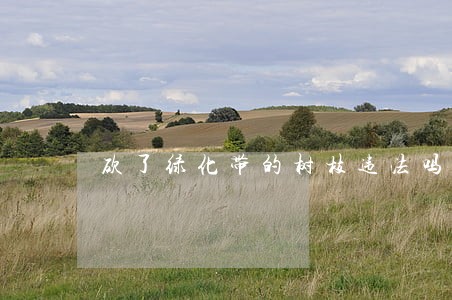 砍了绿化带的树枝违法吗 砍了绿化带的树枝违法吗