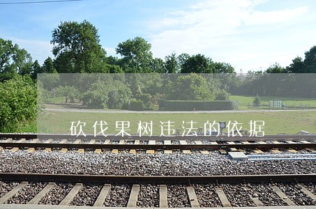 砍伐果树违法的依据 砍伐果树违法的依据