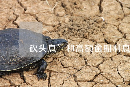 砍头息”和高额逾期利息 砍头息”和高额逾期利息