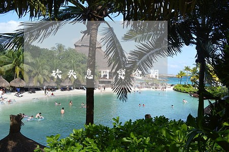 砍头息网贷逾期 砍头息网贷逾期