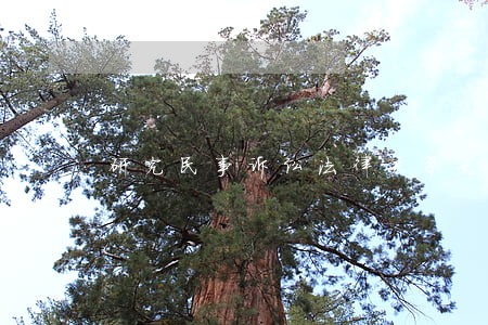 研究民事诉讼法律关系文章