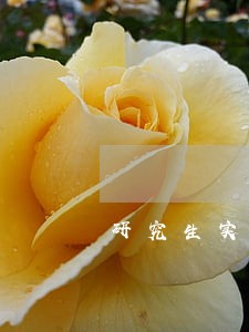 研究生实习网贷逾期 研究生实习网贷逾期