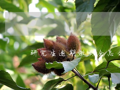 研究生逾期缴费会怎么样 研究生逾期缴费会怎么样