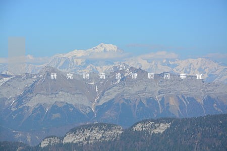研究聘请法律顾问事宜 研究聘请法律顾问事宜