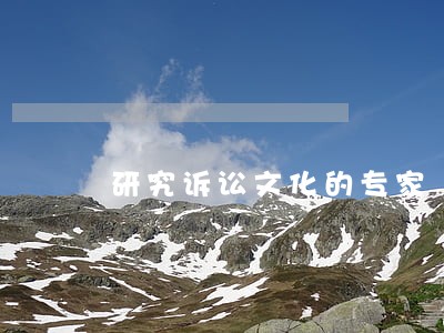 研究诉讼文化的专家 研究诉讼文化的专家