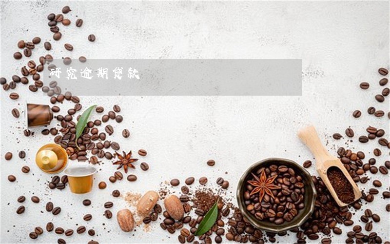 研究逾期贷款 研究逾期贷款