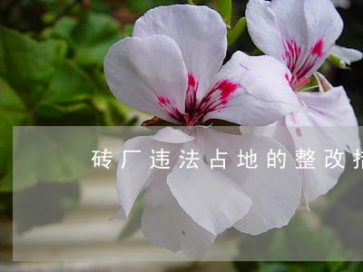 砖厂违法占地的整改措施 砖厂违法占地的整改措施