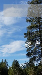 破产业务律师好吗