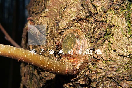 破产企业的诉讼地
