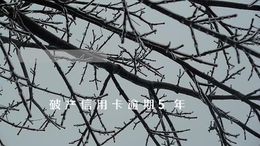 破产信用卡逾期5年 破产信用卡逾期5年
