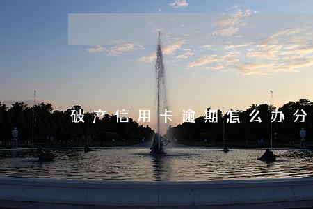 破产信用卡逾期怎么办分期 破产信用卡逾期怎么办分期