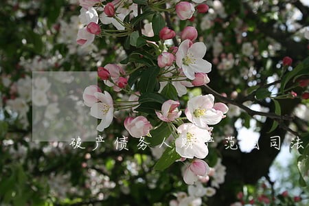 破产债务人财产范围司法解释