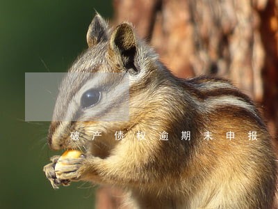 破产债权逾期未申报 破产债权逾期未申报