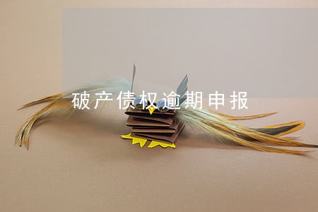 破产债权逾期申报 破产债权逾期申报