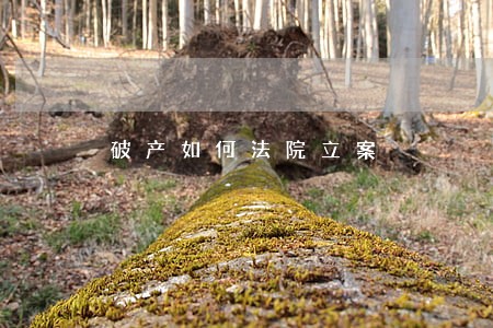 破产如何法院立案 破产如何法院立案