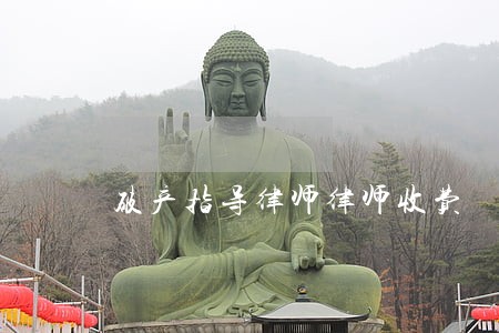 破产指导律师律师收费 破产指导律师律师收费