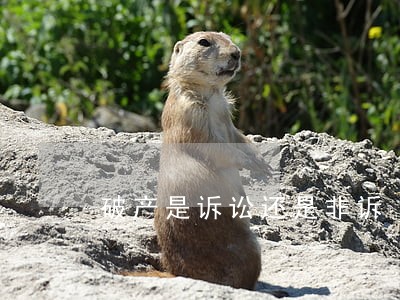破产是诉讼还是非诉