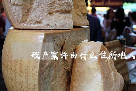 破产案件由什么住所地人民法院管辖 破产案件由什么住所地人民法院管辖