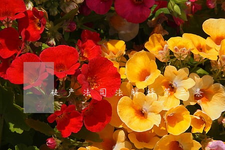 破产法司法解释第三条