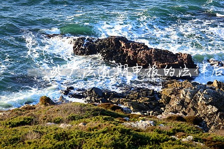 破产法逾期申报的法律后果 破产法逾期申报的法律后果