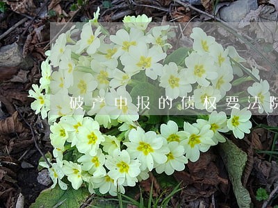 破产申报的债权要法院确认吗