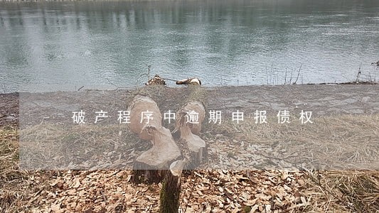 破产程序中逾期申报债权 破产程序中逾期申报债权