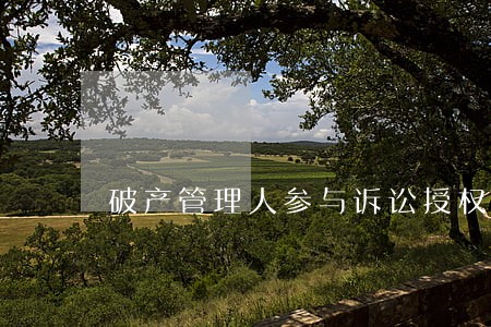 破产管理人参与诉讼授权委托书 破产管理人参与诉讼授权委托书