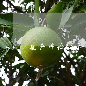 破产诉讼公示网 破产诉讼公示网
