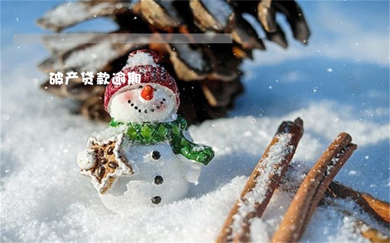破产贷款逾期
