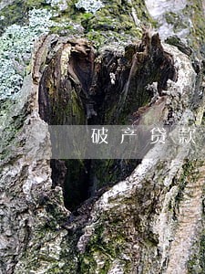破产贷款逾期能否申请调解 破产贷款逾期能否申请调解