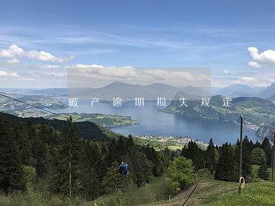 破产逾期损失规定 破产逾期损失规定